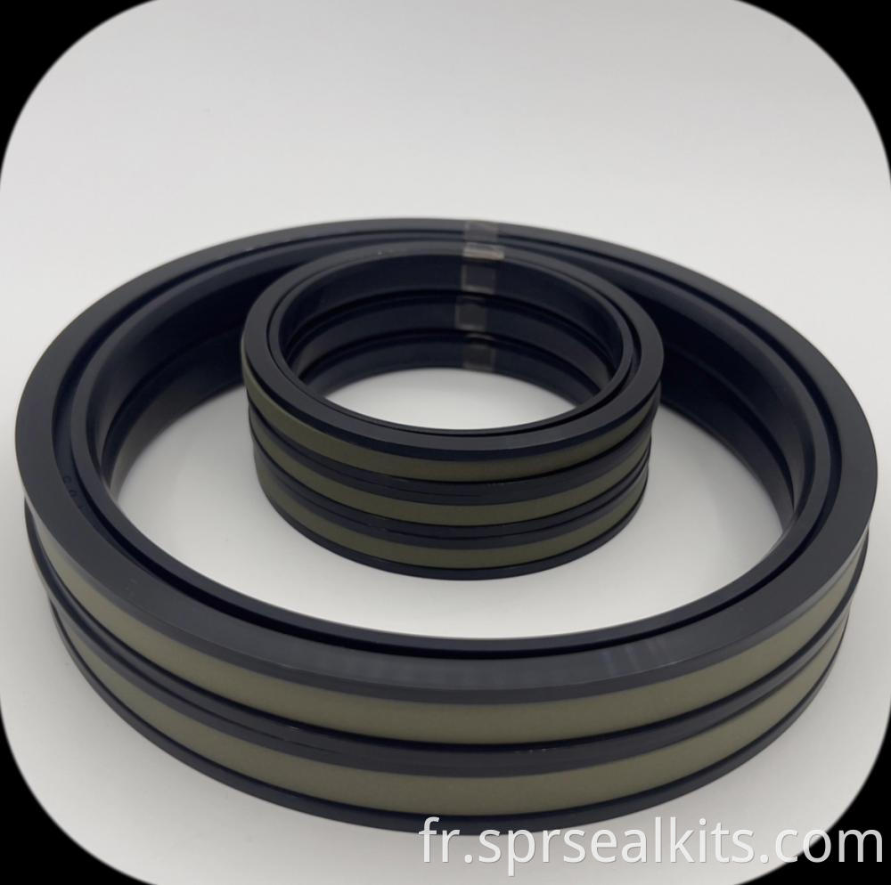 Excavator Cylinder Piston Seals Spgw 10